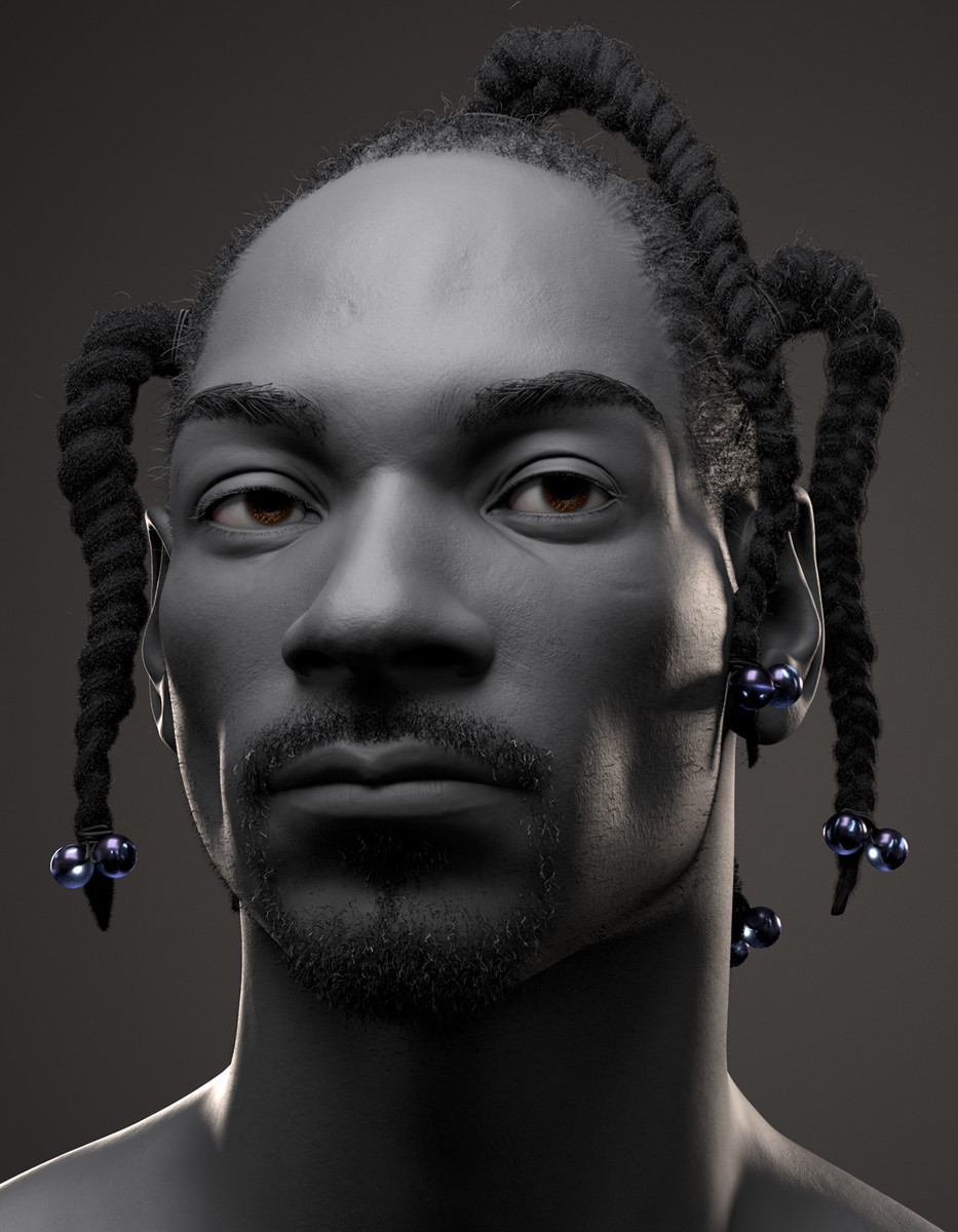 Snoop top dogg braids