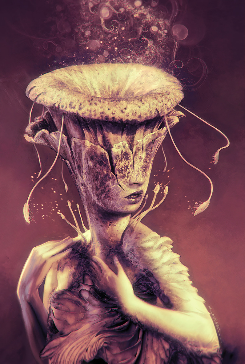 Fungi - Anthology Cover Art