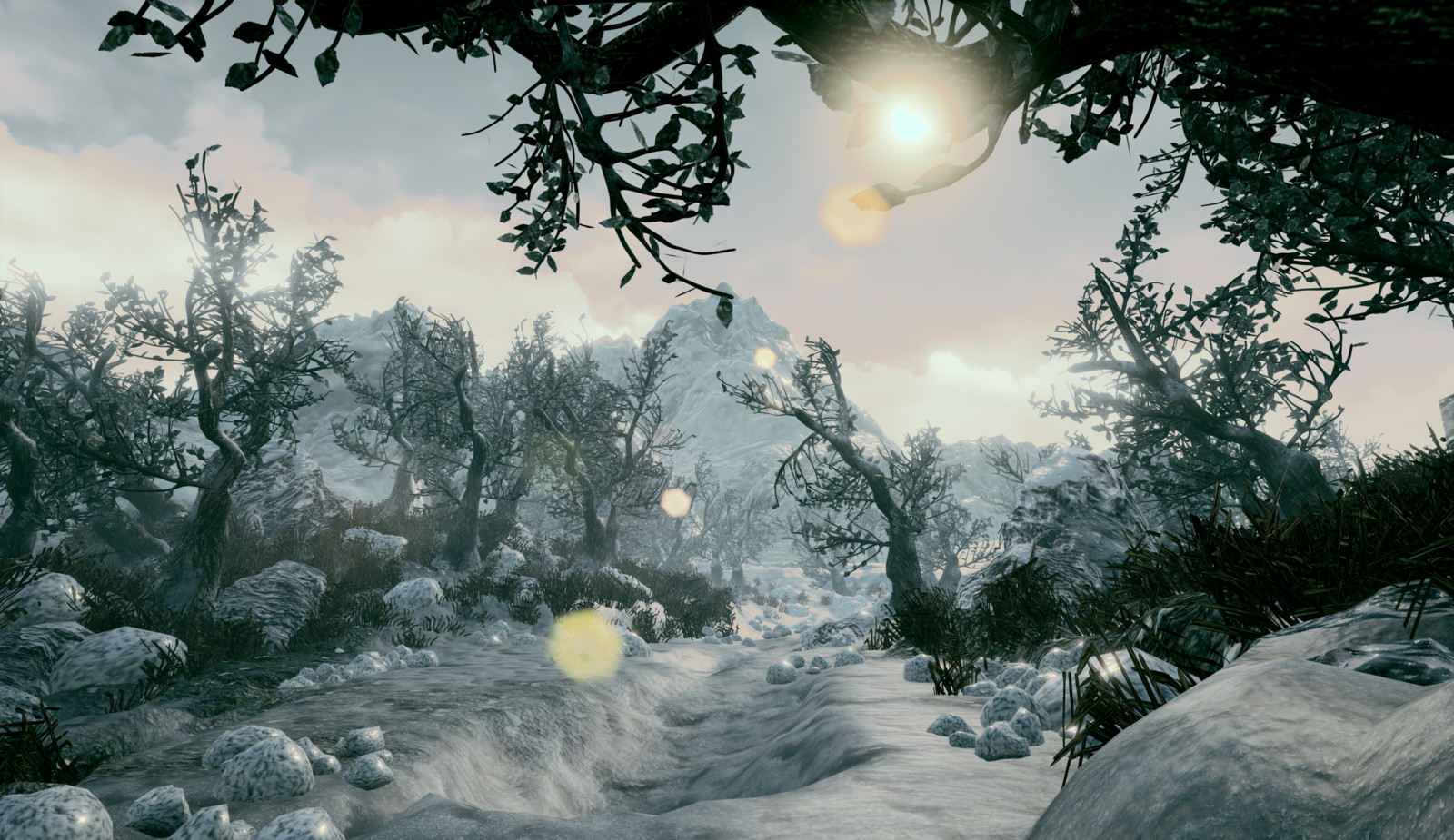 Cold lands