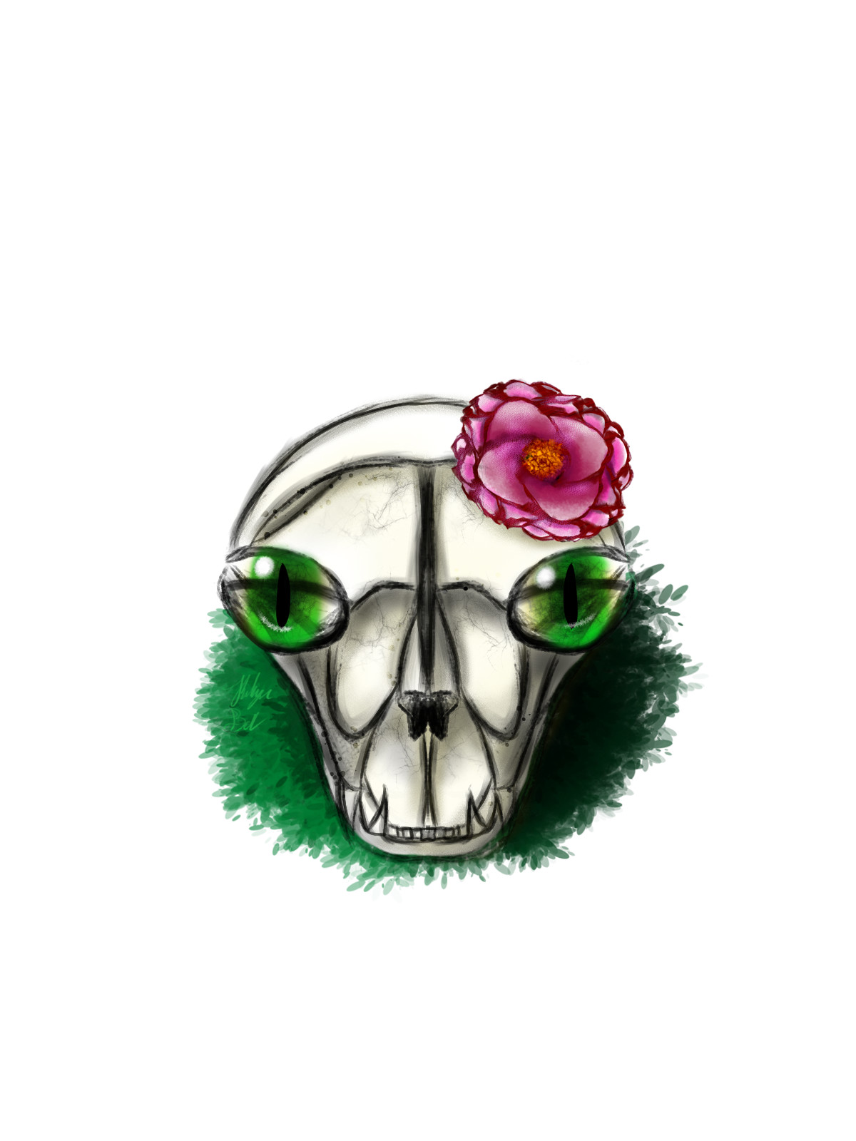 Robyn Bell Cat Skull