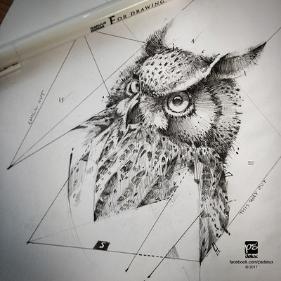 Psdelux 20170217 owl sketch psdelux