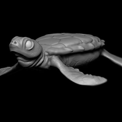 Barry mccarthy turtle