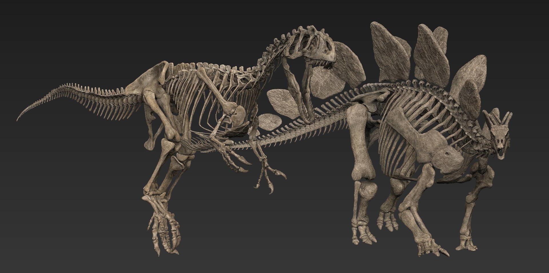 Читы скелет. Аллозавр скелет. Аллозавр фрагилис скелет. Скелет Аллозавра SCP. Стегозавр и Аллозавр.