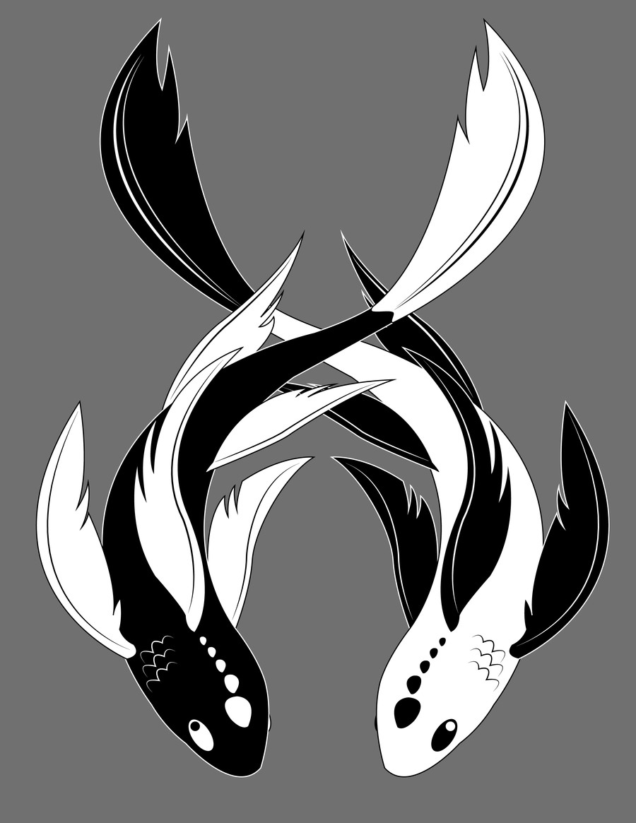 Download Koi Yin Yang | The Bryans Koi Fish