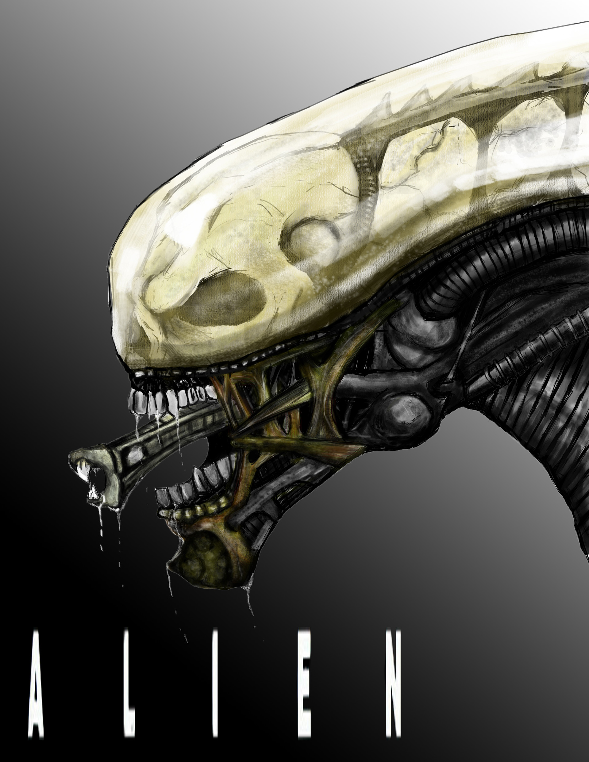 Artstation Transparent Head Xenomorph Thomas Everett