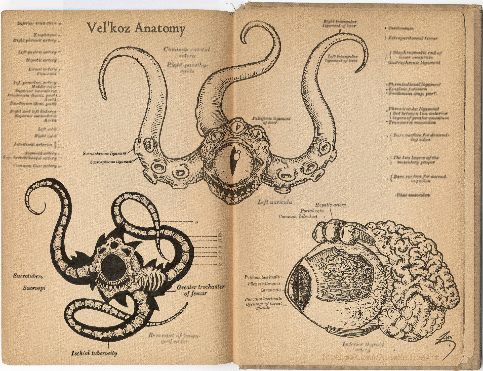 Artstation Vel Koz Anatomy Aldo Calaveras