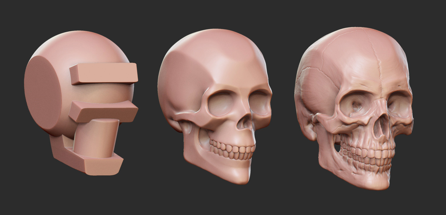 анатомия женская голова. череп 3в анатомия. череп головы женщины. тангенциальный рентген черепа. костное строение лица.