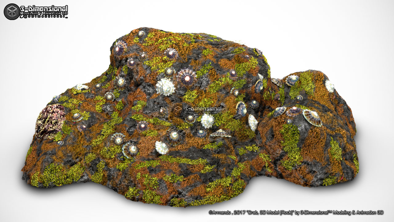 Rock (element in scene)