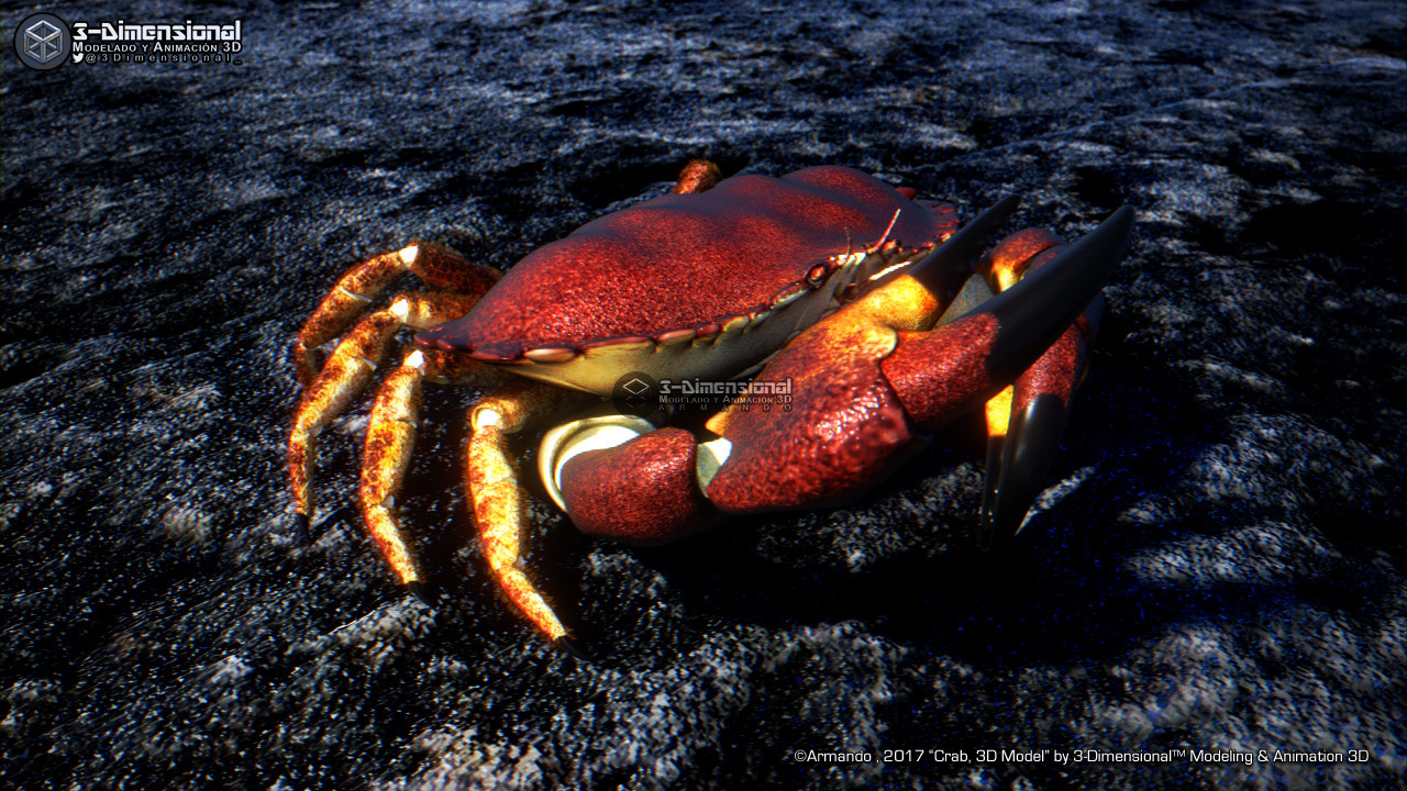 Crab