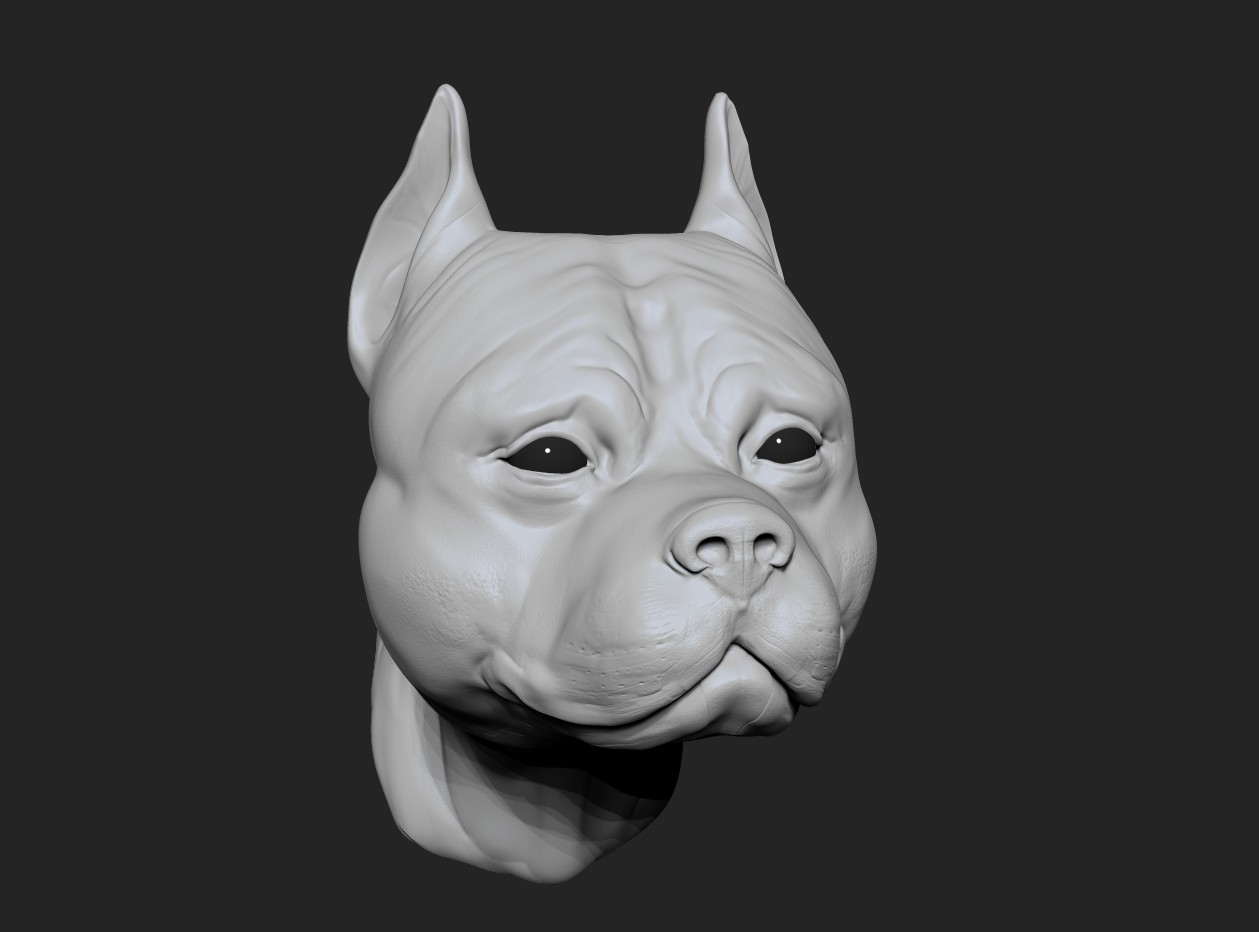 Artstation Dog Head Stark Stefen