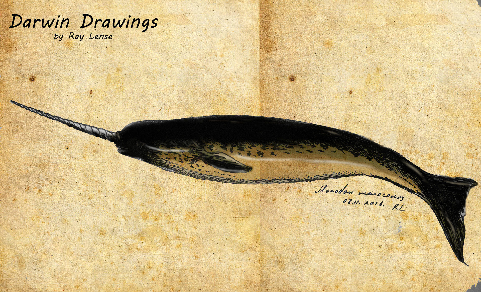 Discover 159+ charles darwin animal sketches
