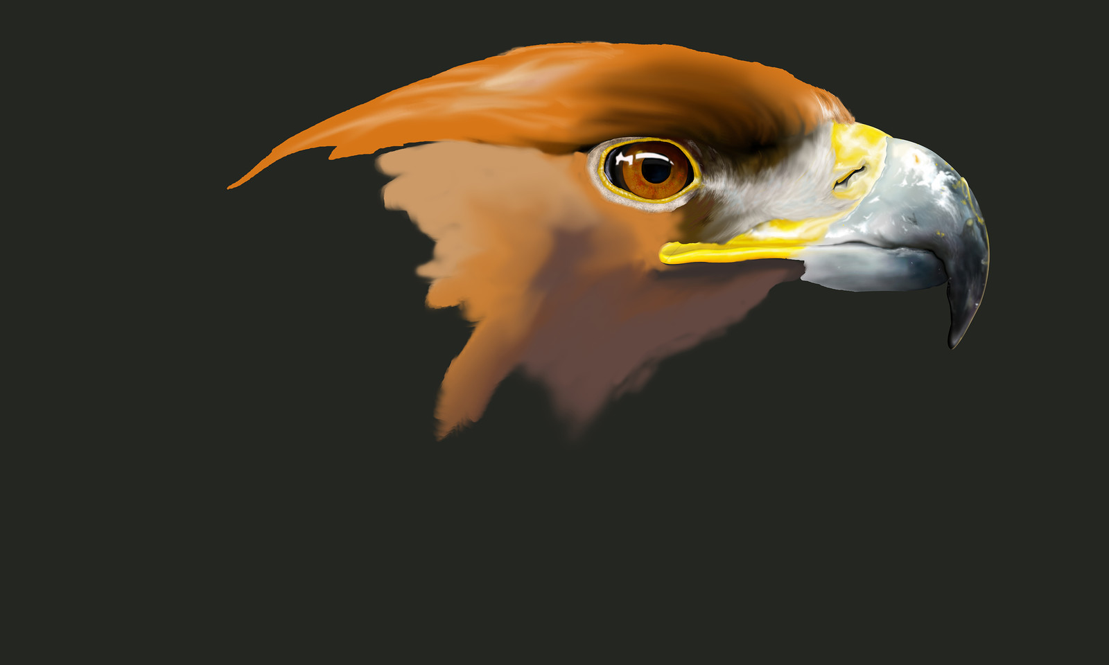 Digital Paiting