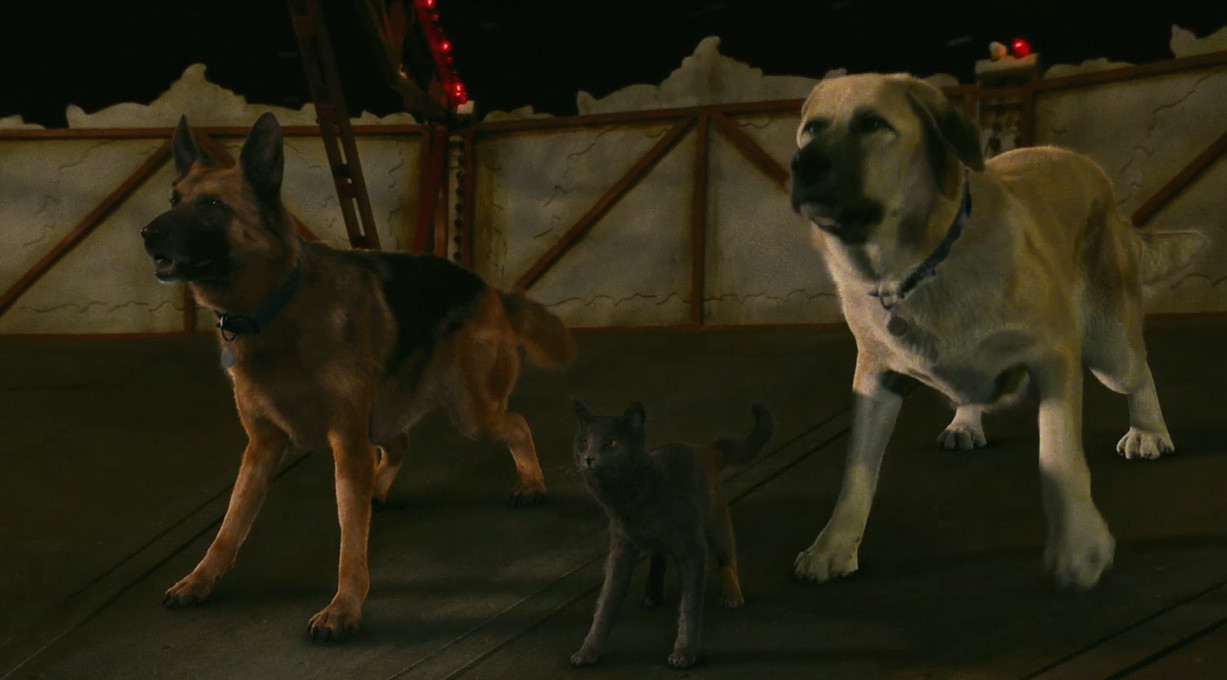 joel h thornton cats and dogs 2