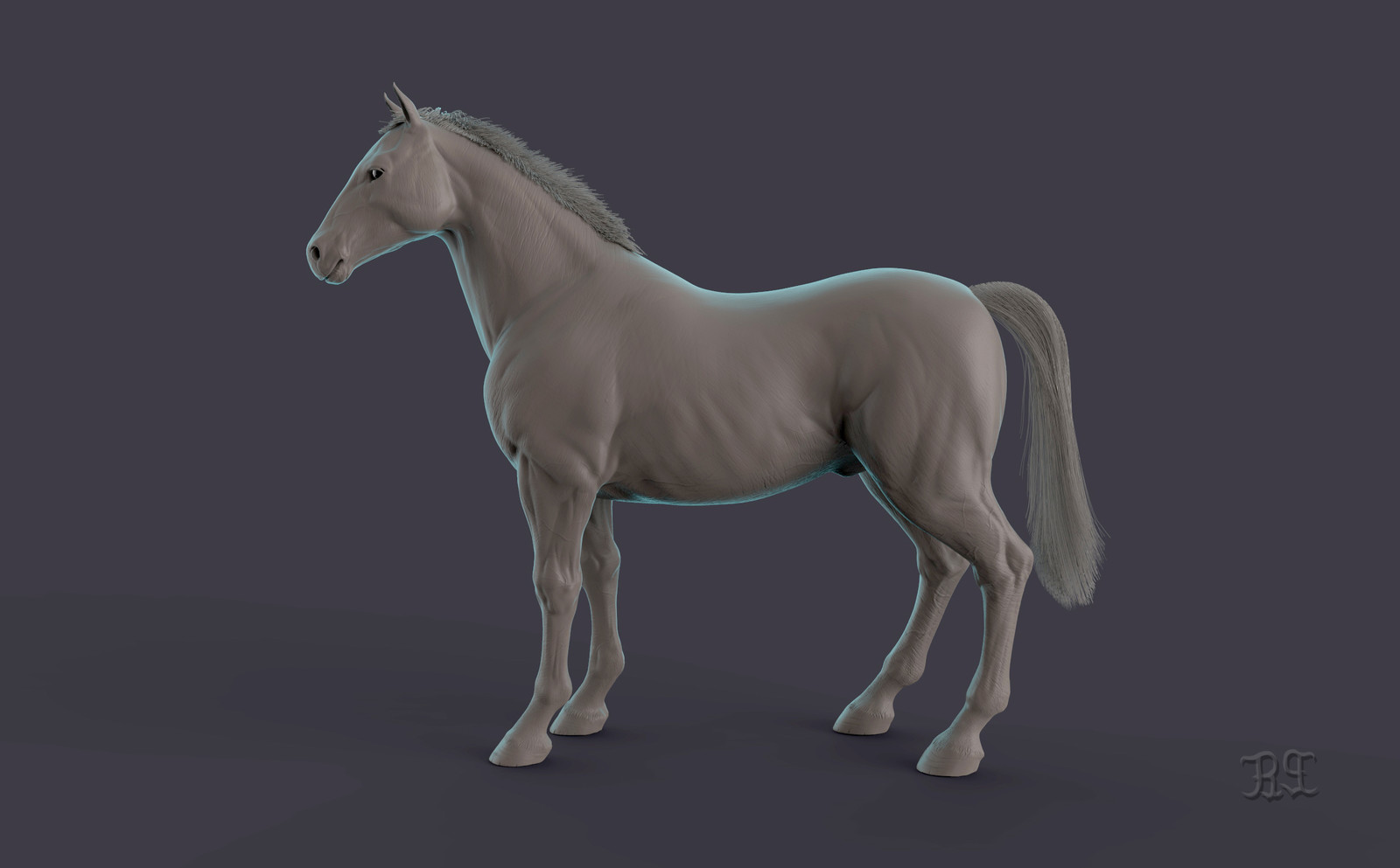 3d horse. Лошадь 3д. Анатомия лошади 3d. Лошадь Blender. Анатомия лошади 3д модель.