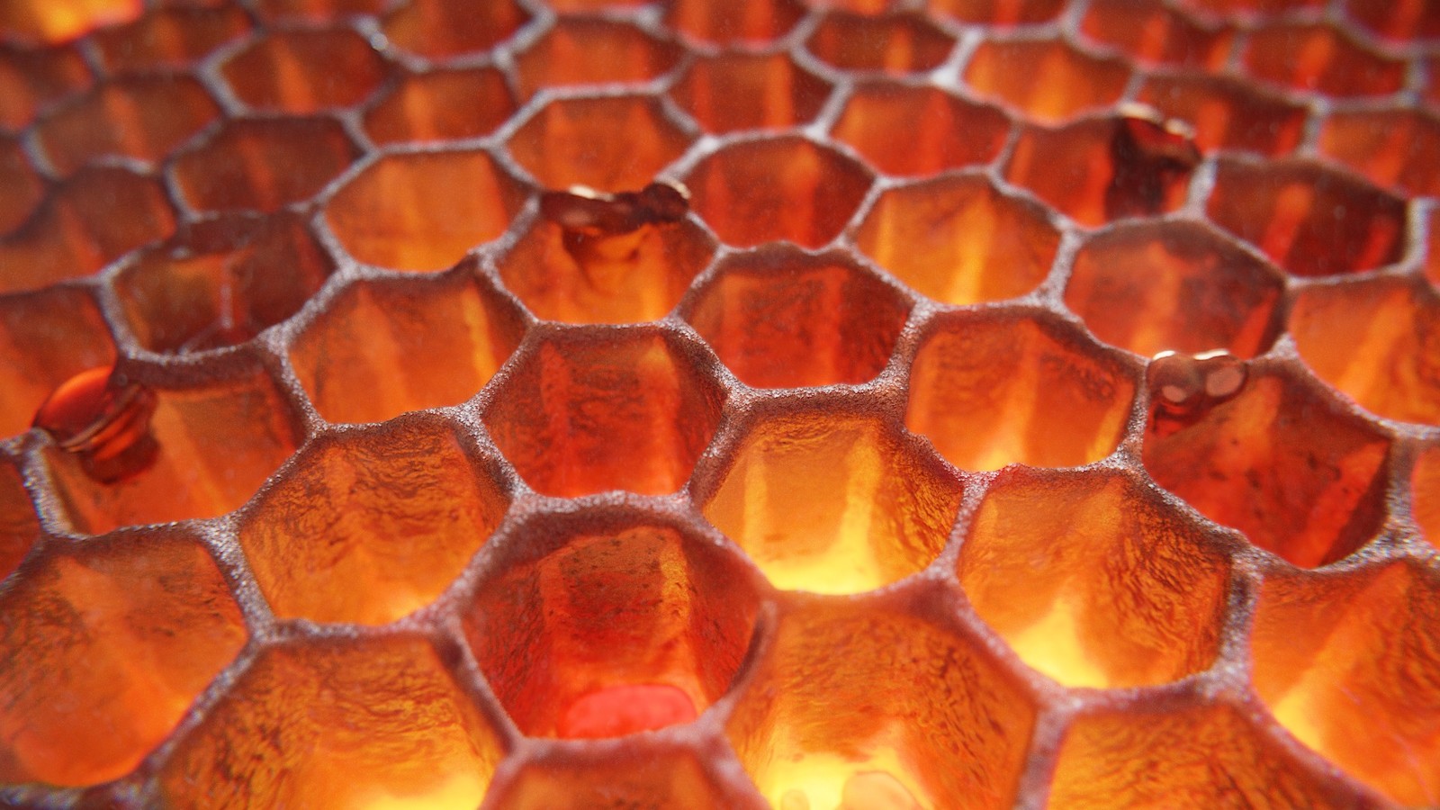 "Honeycomb" Final