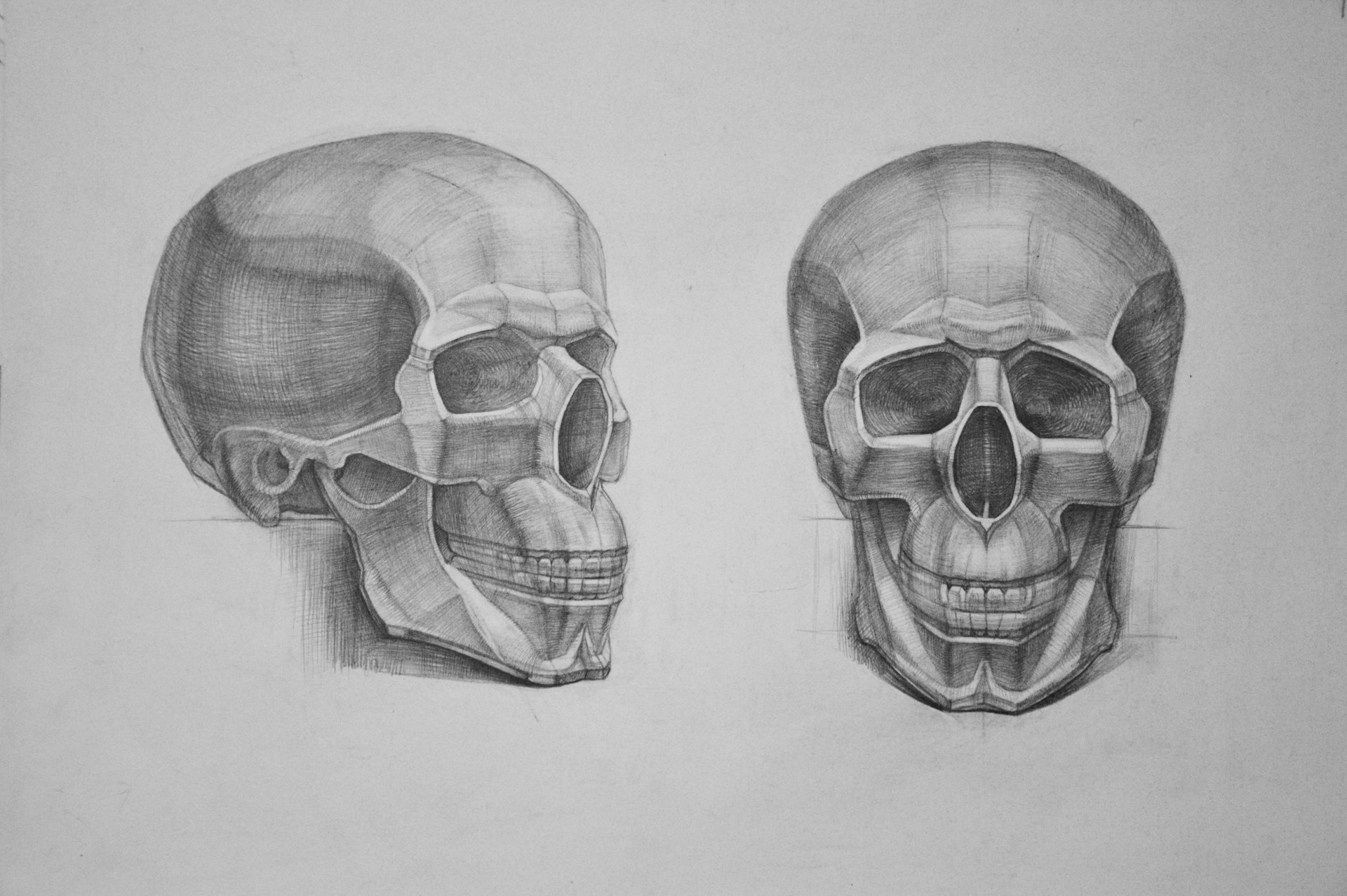 academic drawing figure