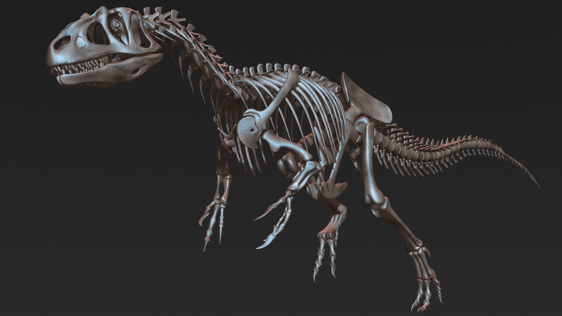 allosaurus skeleton
