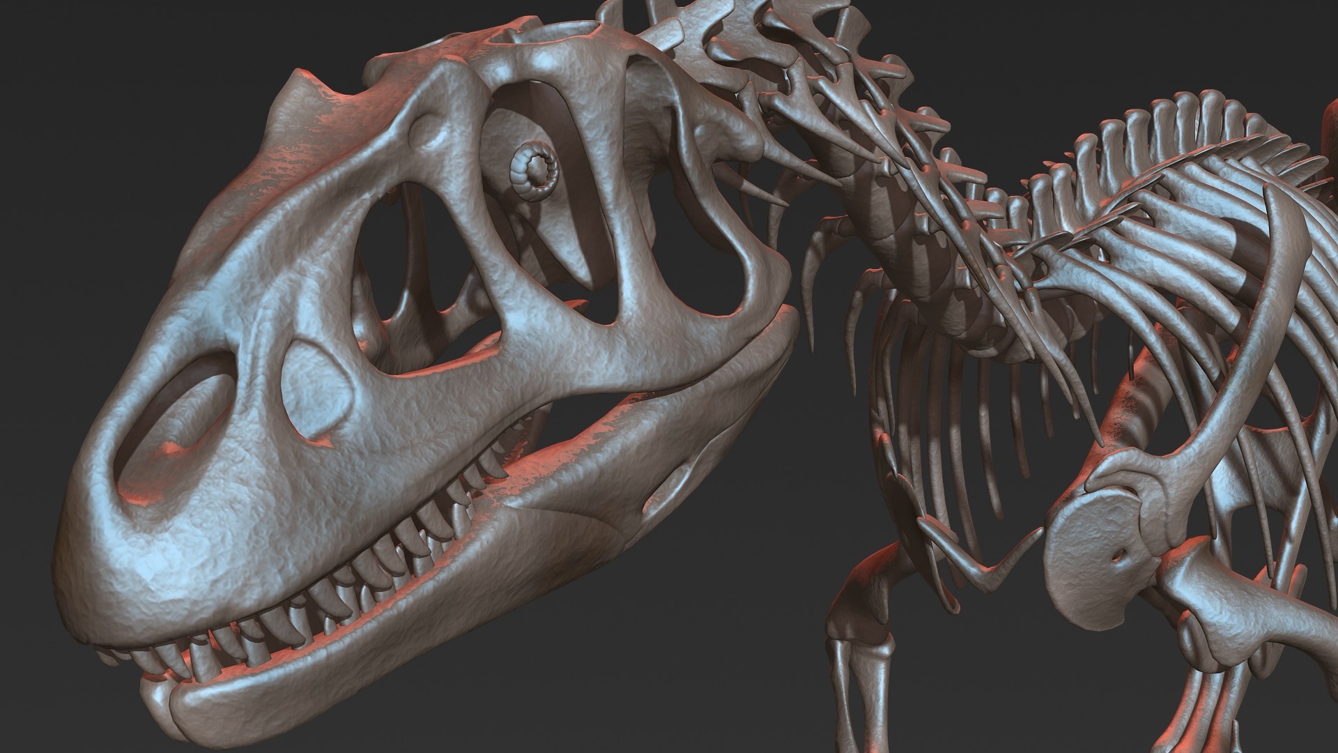 allosaurus skeleton