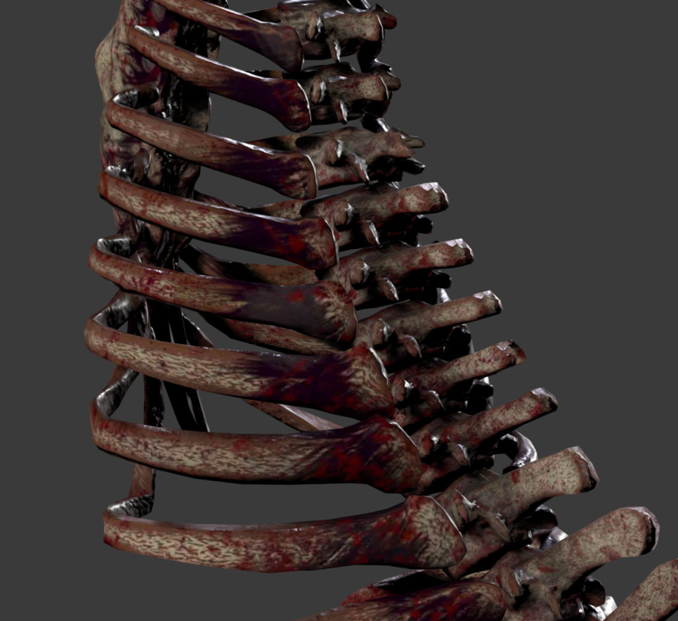 Close Up - Ribs