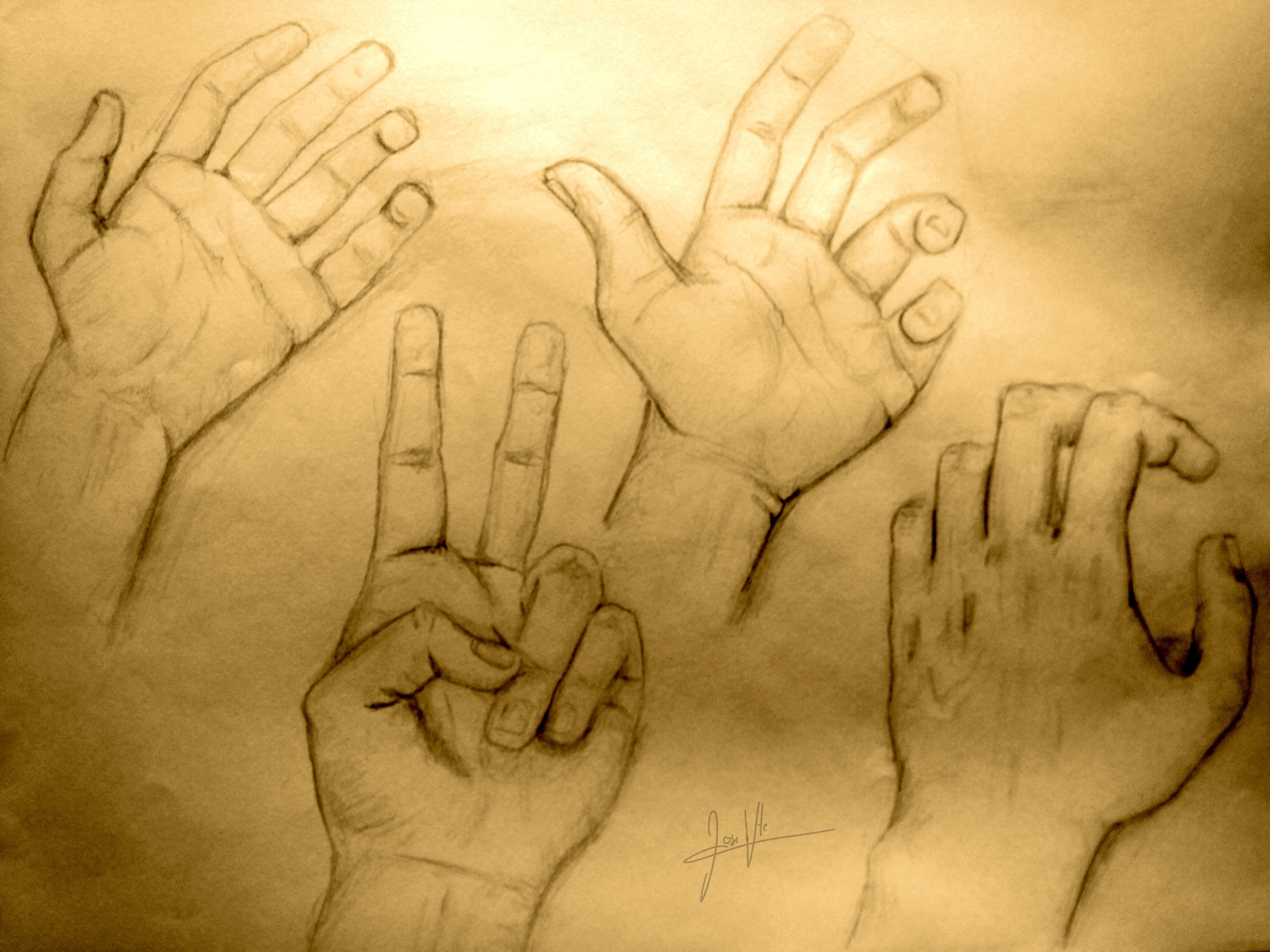 Artstation Hands Anatomy Drawings Jose Vicente Fernandez