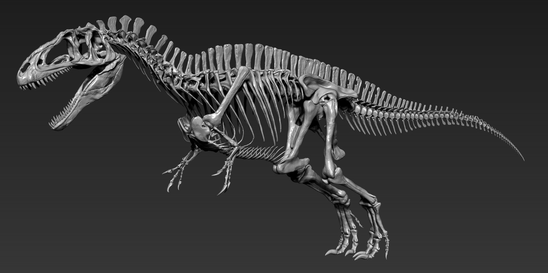 acrocanthosaurus skeleton