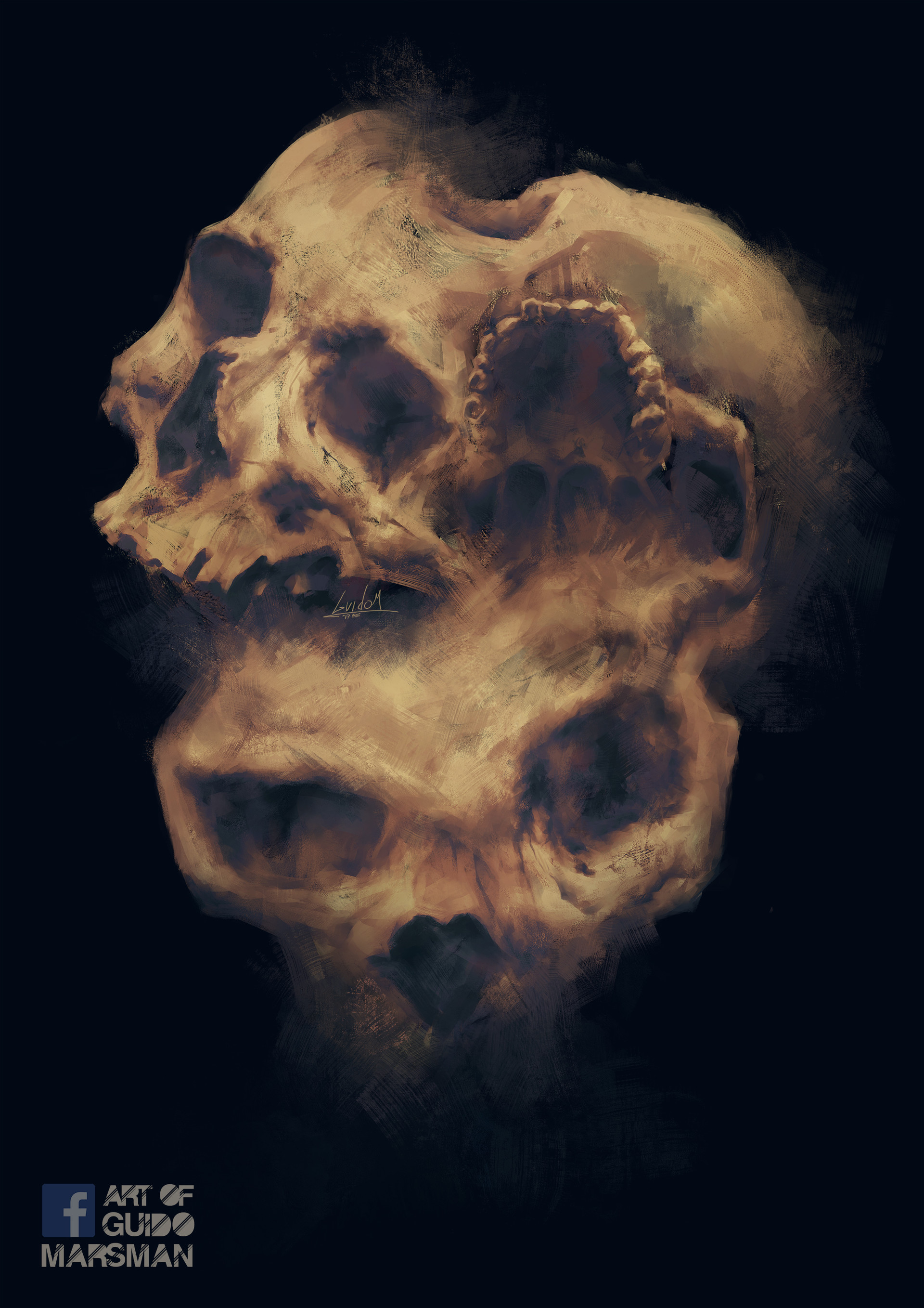 Artstation Skull Merge Guido Marsman