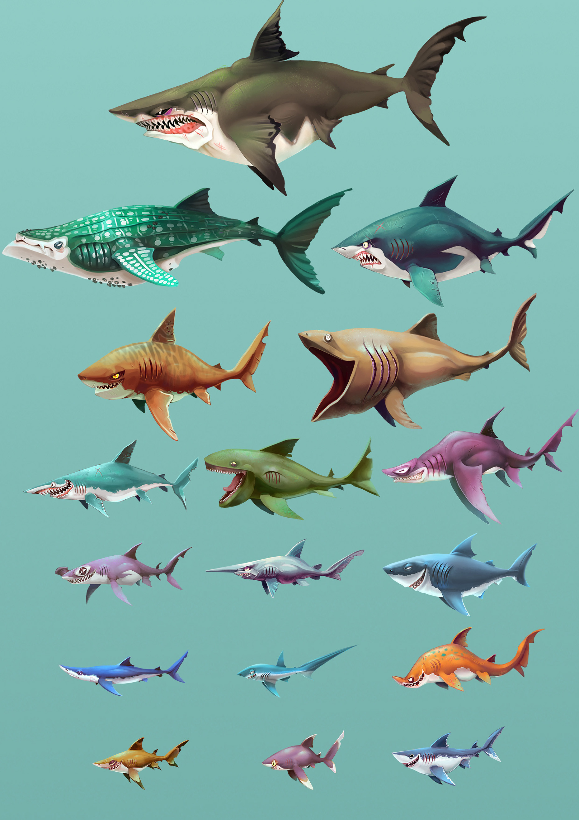 Shark Size Comparison Chart