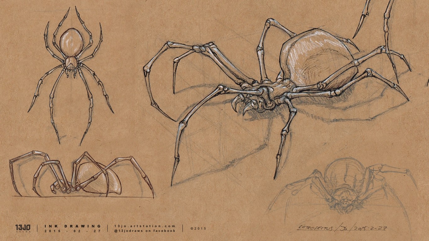 A Latrodectus perspective exercise drawing.