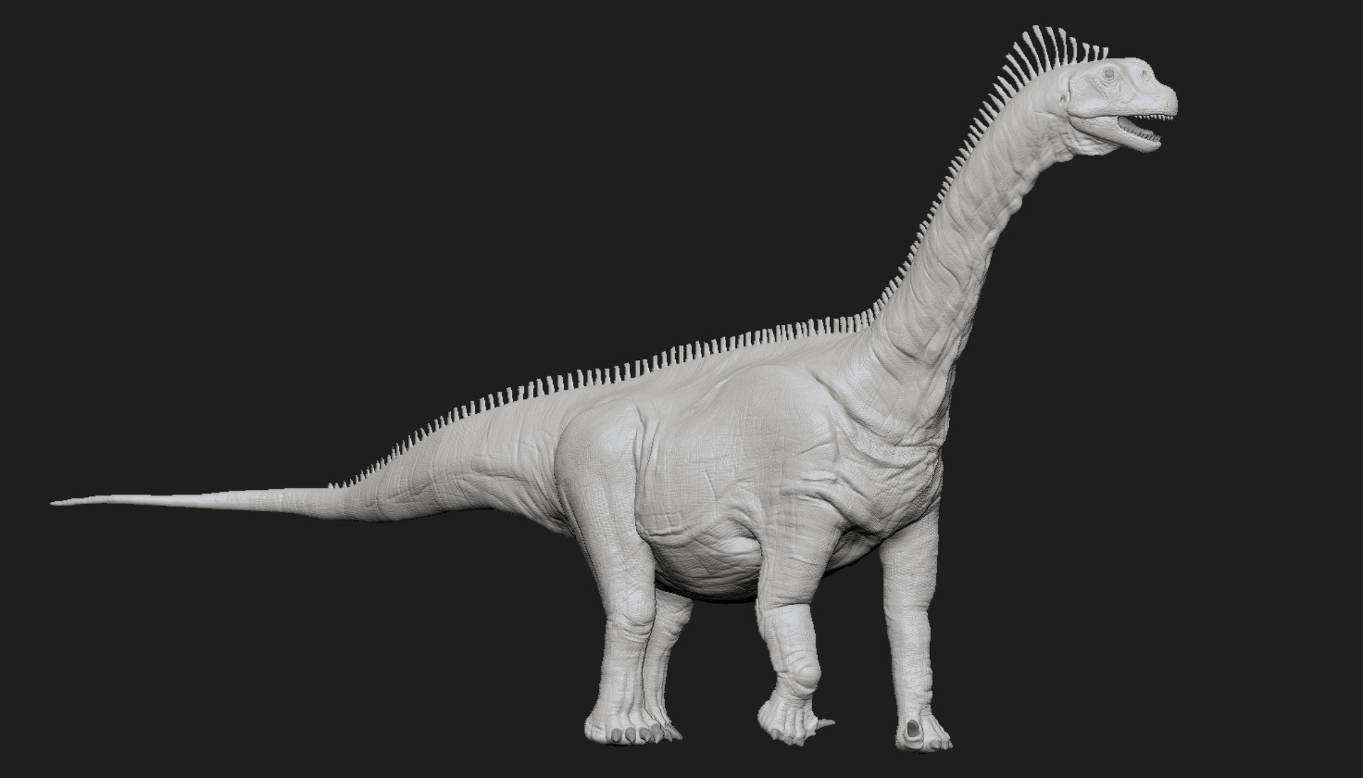 camarasaurus