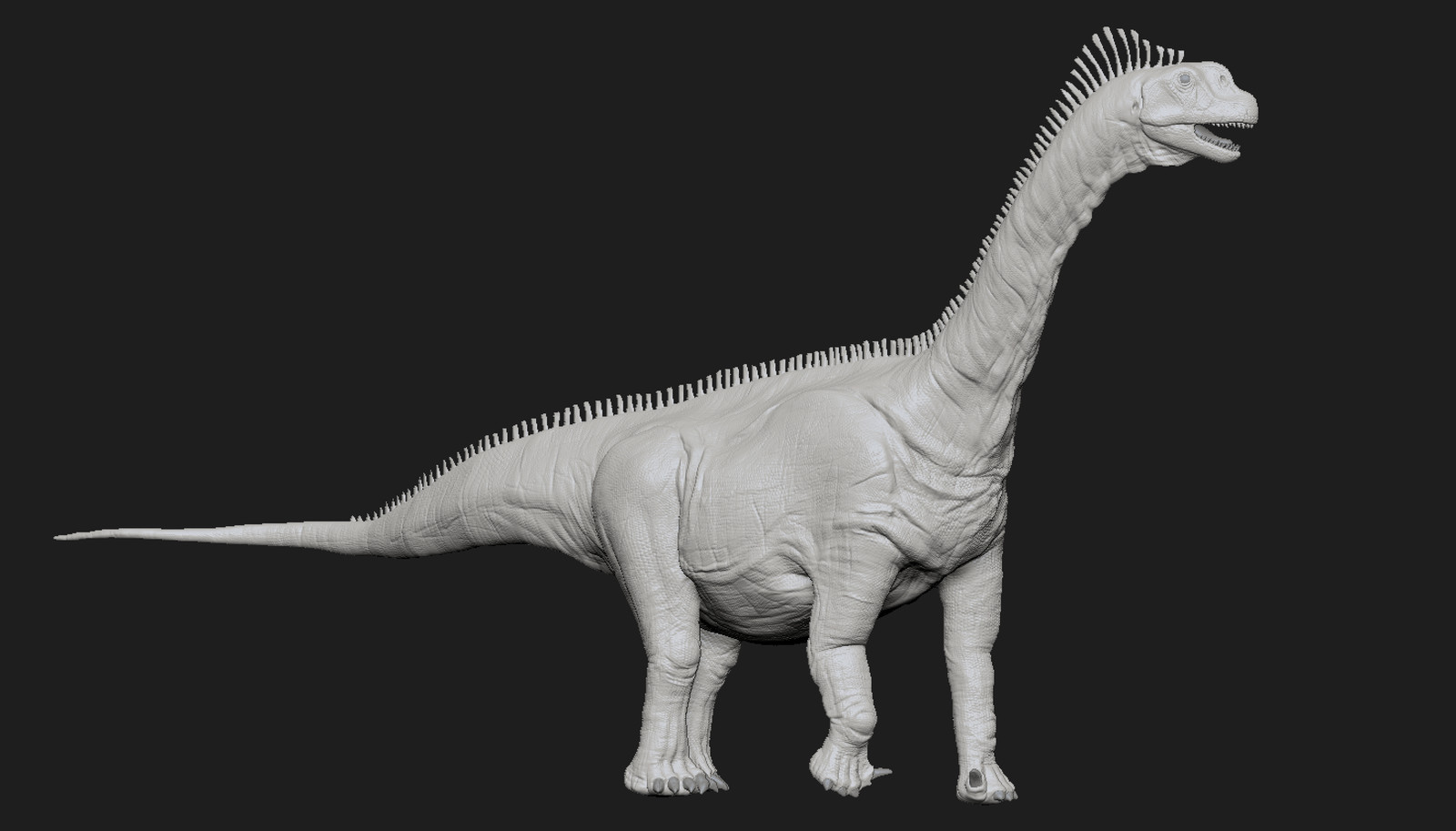 camarasaurus dinosaur