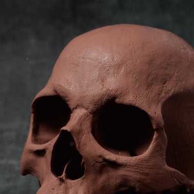 Tom newbury skull a05