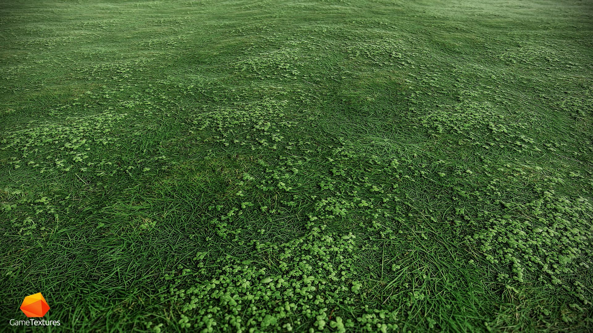 ArtStation Clover Grass Field fScan