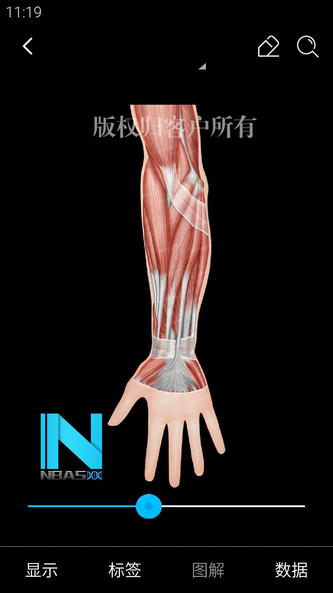Fa Guan Medical Arts Medical Illustration Medical Animation In