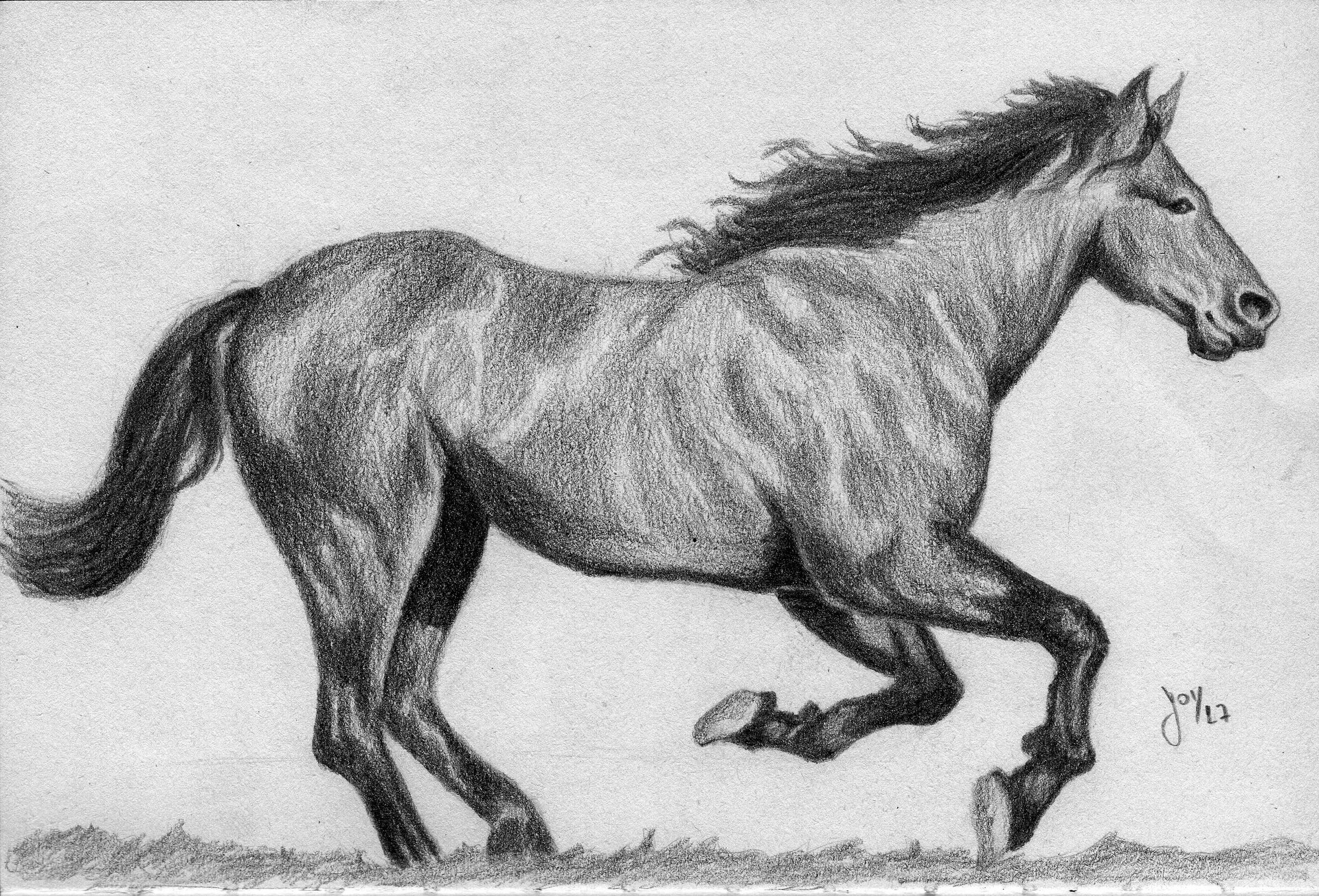 Horse Drawing With Shading