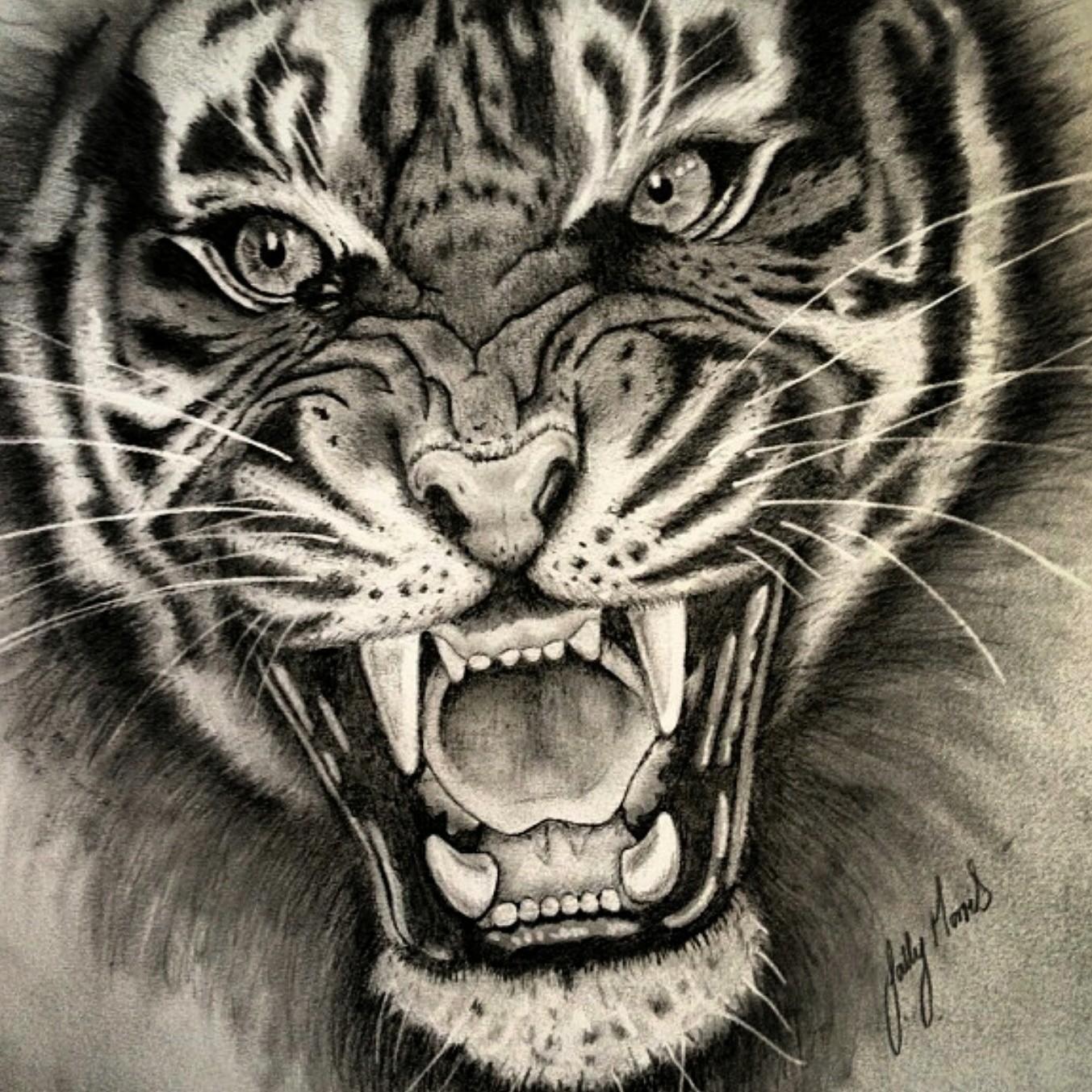 Top more than 155 tiger sketch drawing latest