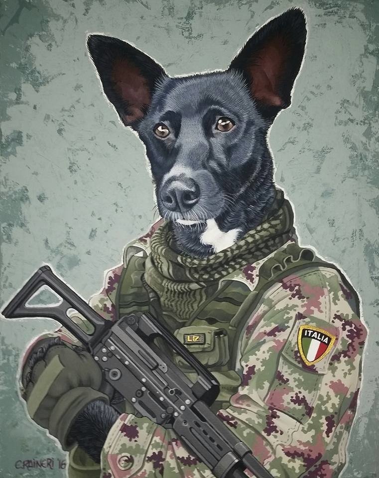 
Рисунки Военных Собак