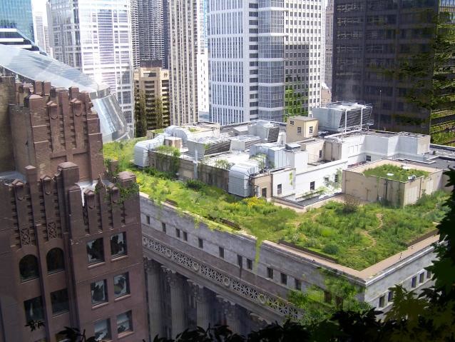 abondoned city