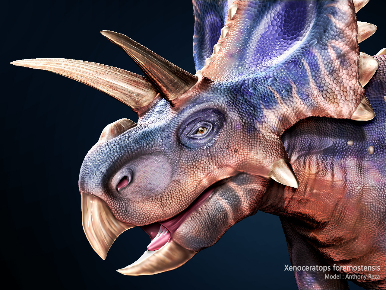 ArtStation Xenoceratops foremostensis