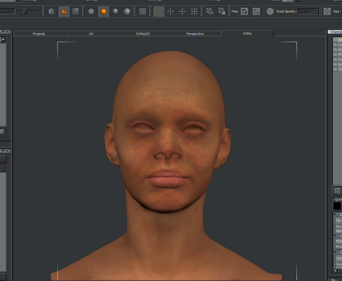 Albedo Texturing