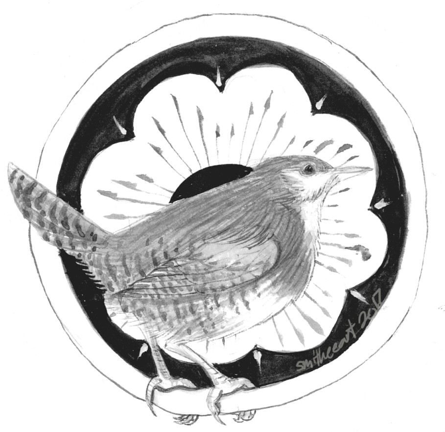 ArtStation House Wren