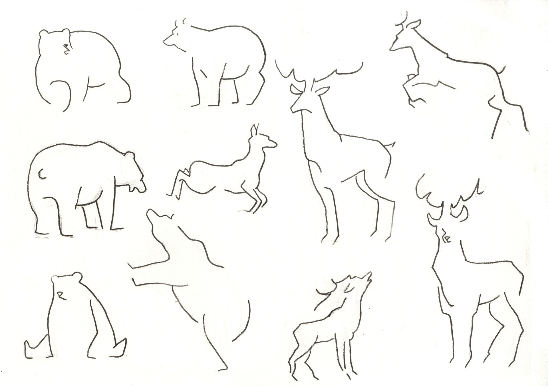 ArtStation - Animals - visual design