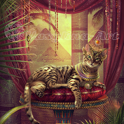 Vasilyna holod egyptian cat da