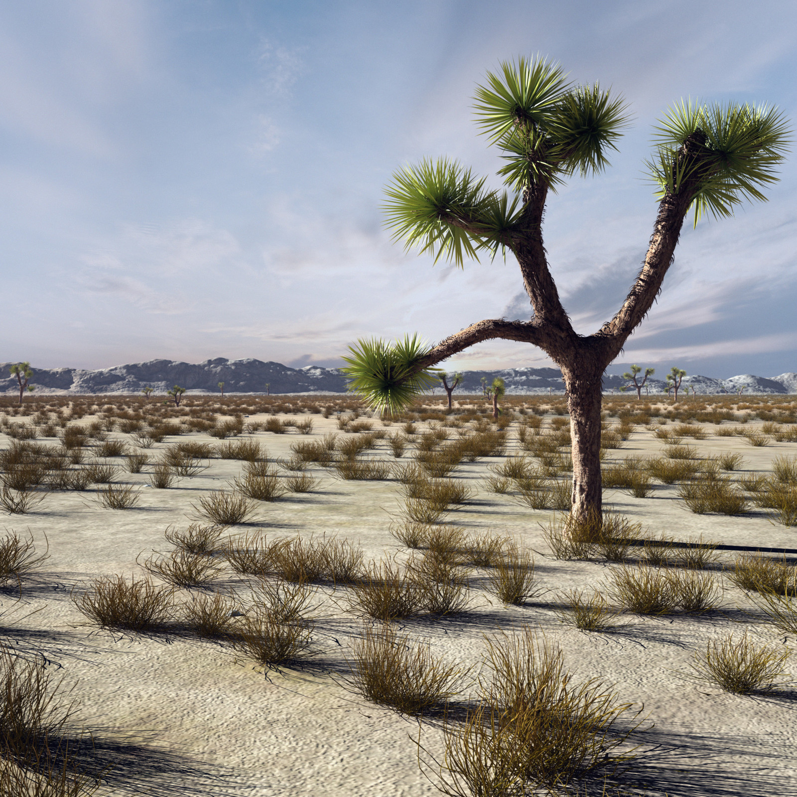 Desert Landscape 3D Model