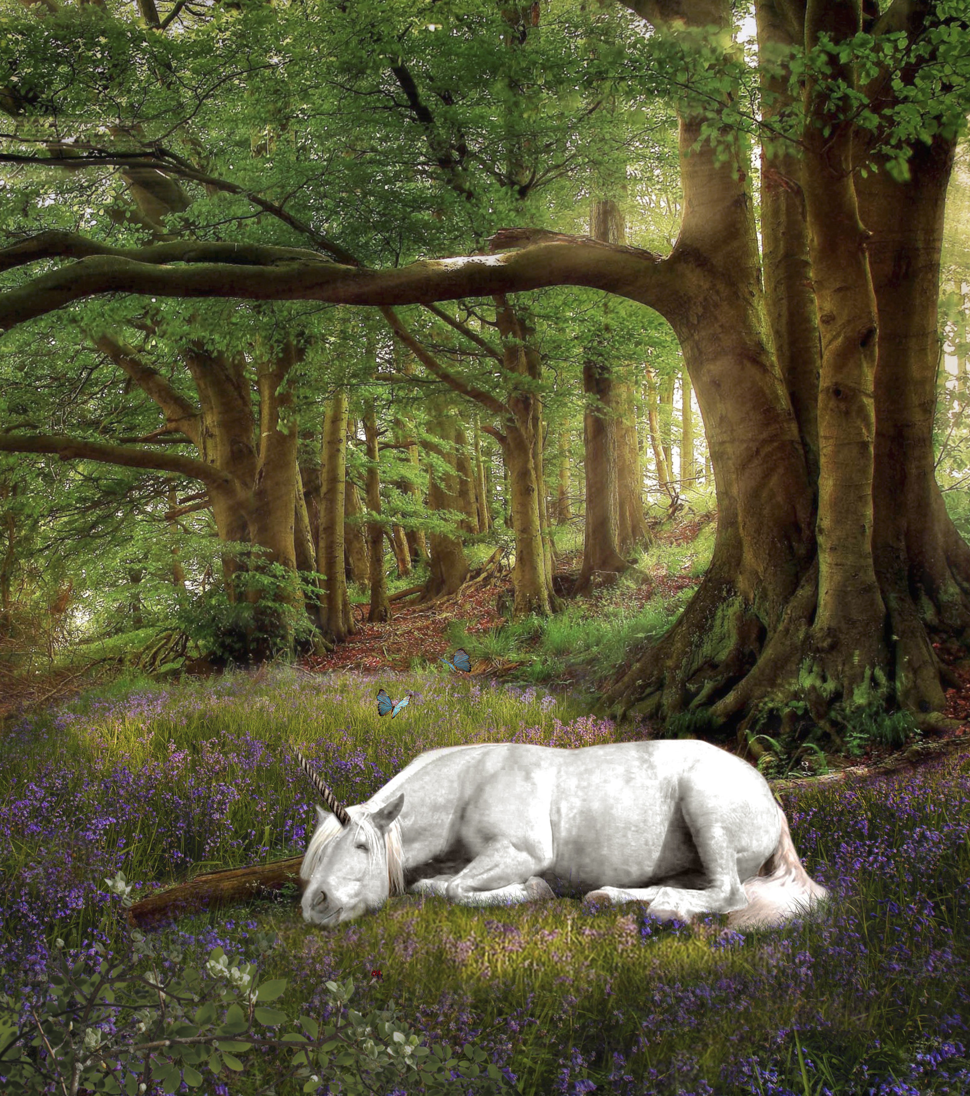Unicorn sleeping 2025