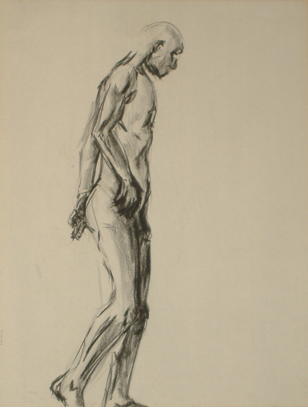 Figure Drawings - Male