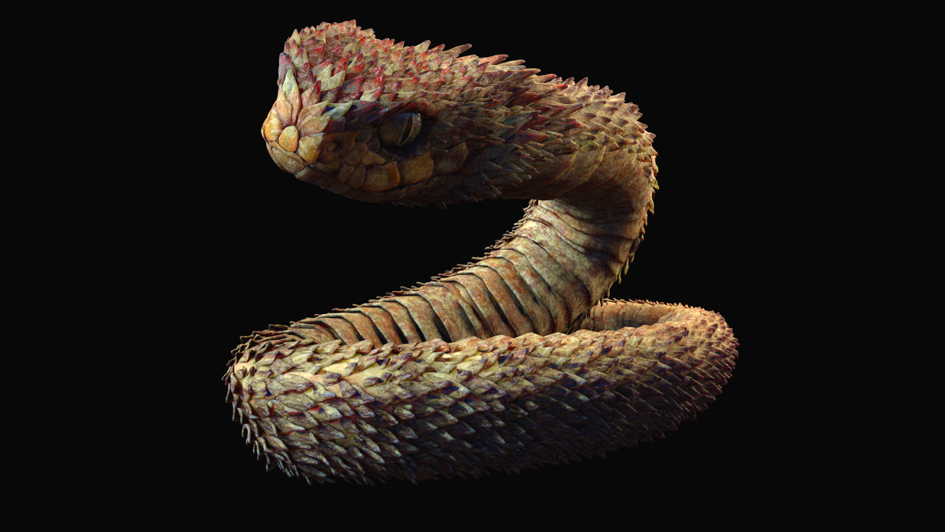 ArtStation - Atheris Ispida