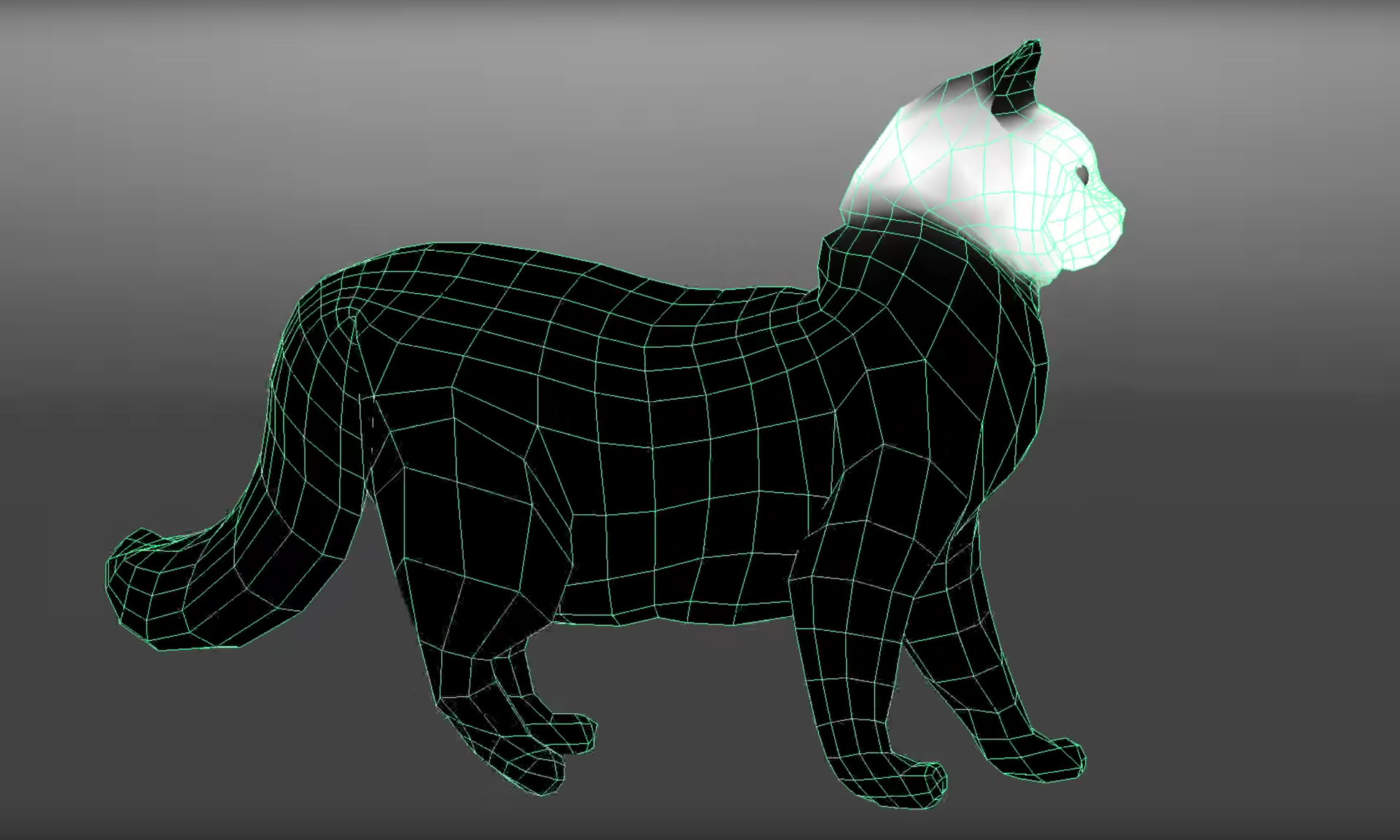 Artstation Java The Cat Model Rig Animation Cindi