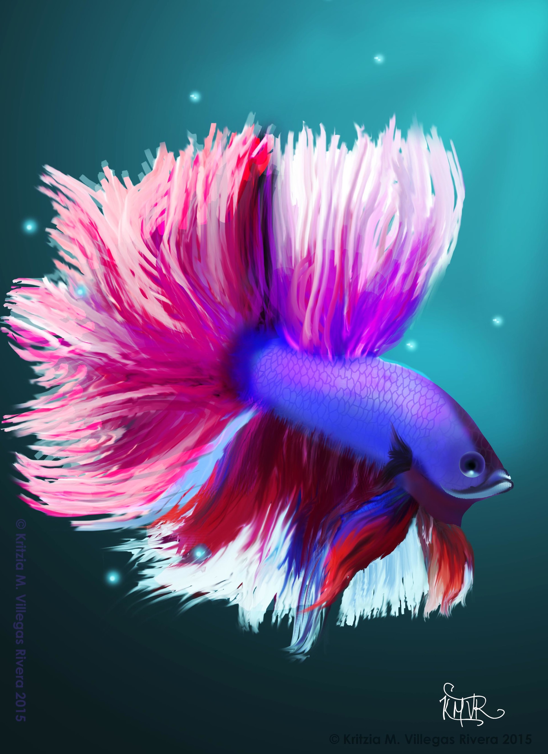 Artstation Betta Fish On Digital Painting Kritzia M Villegas