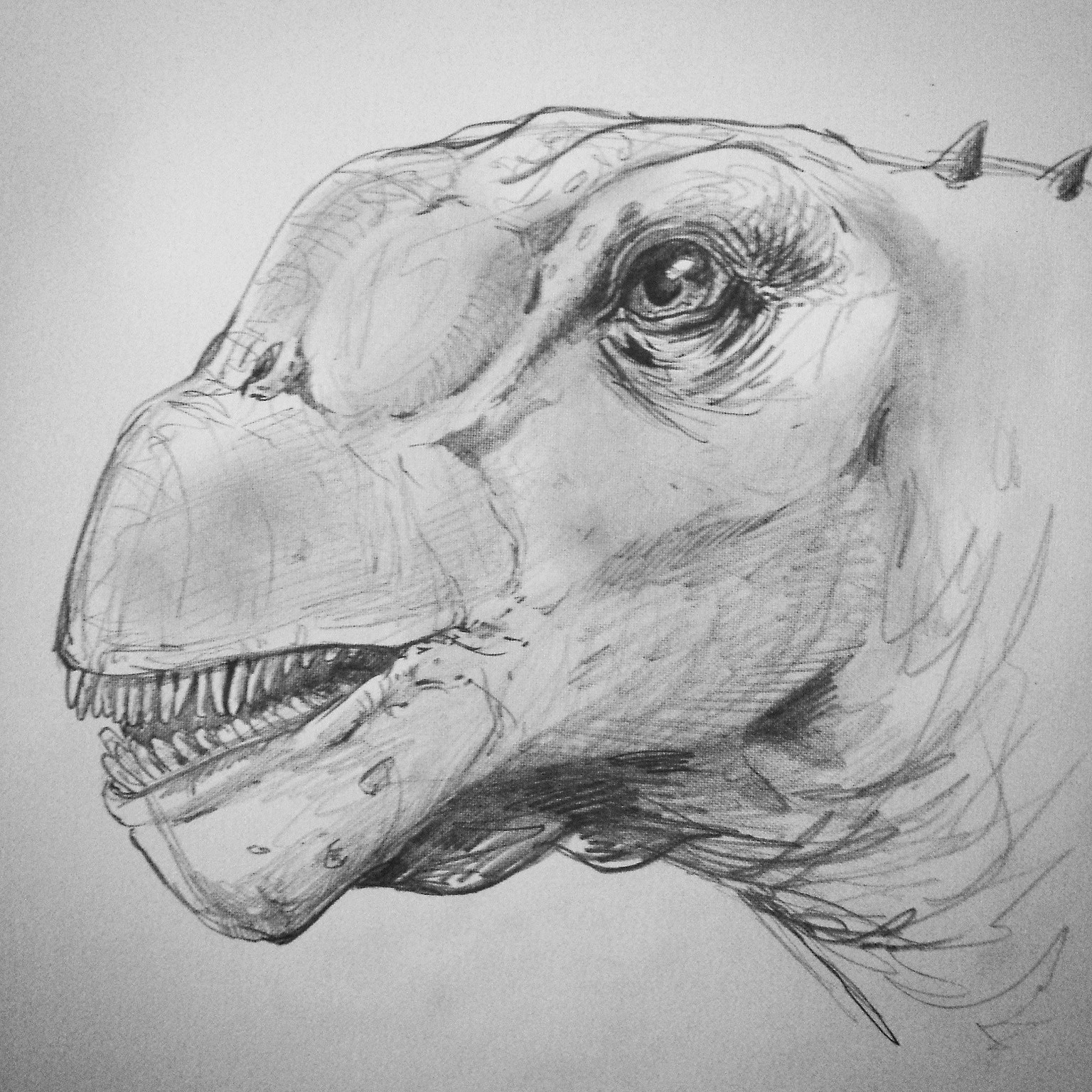 Camarasaurus

https://www.kickstarter.com/projects/868769538/primeval-kings-the-art-of-ken-kokoszka