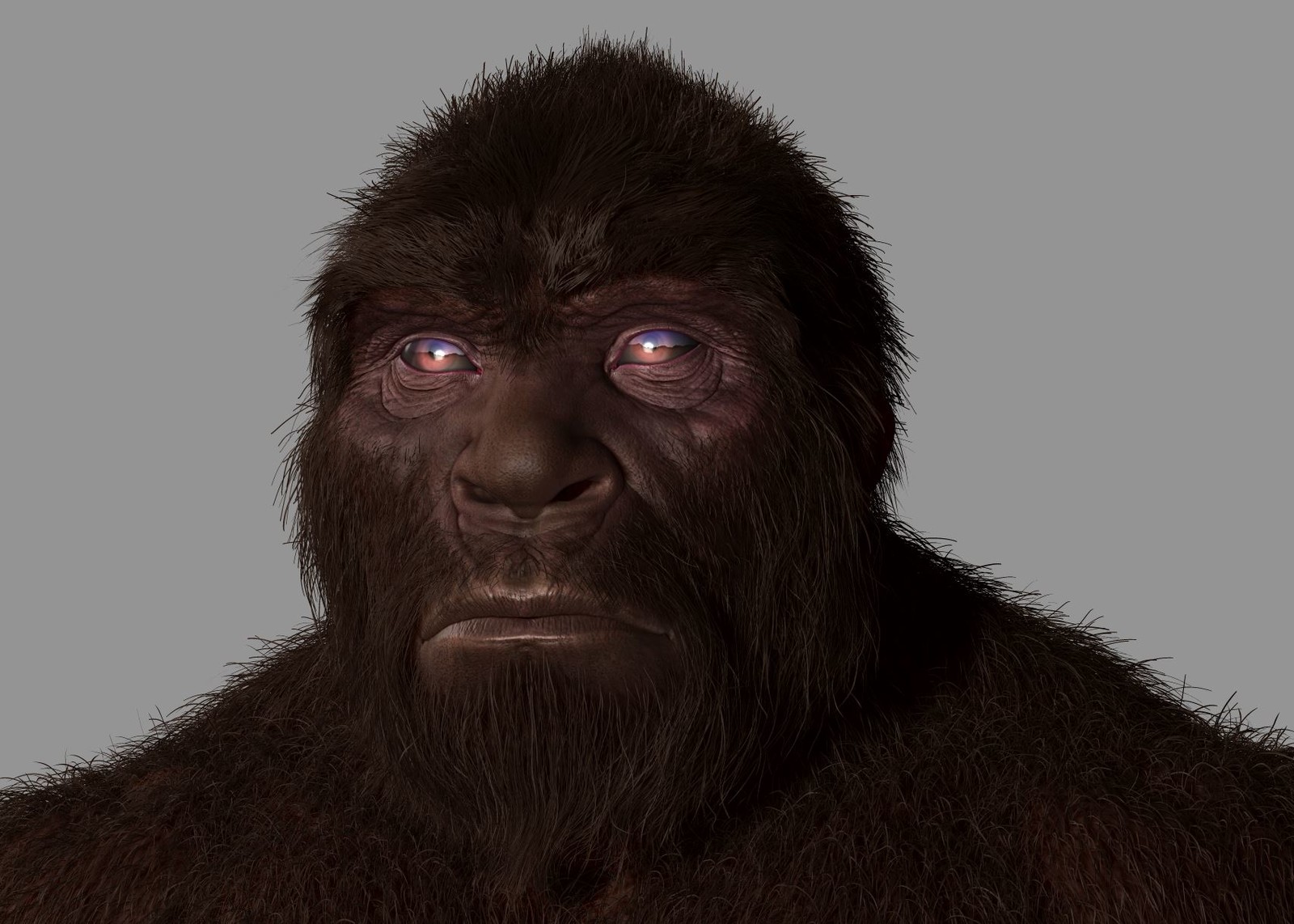 Sasquatch Bigfoot